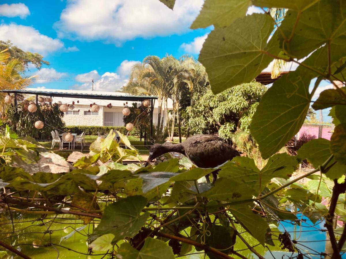 Villa Cristal Santa Elena (El Cerrito) Exterior foto